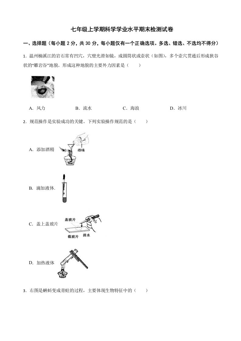 浙江省温州市七年级上学期科学学业水平期末检测试卷及答案