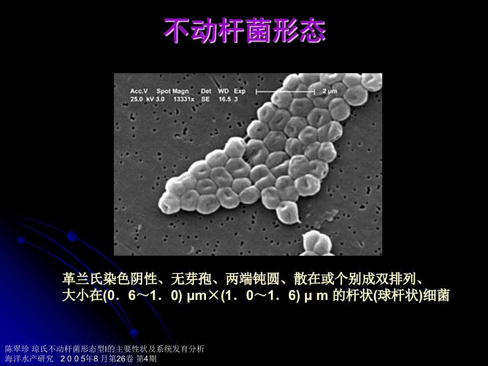 鲍曼不动杆菌感染(吴金)【精品PPT】