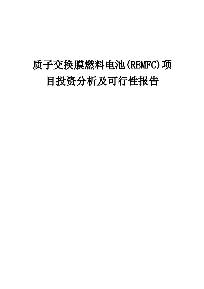 2024年质子交换膜燃料电池(REMFC)项目投资分析及可行性报告