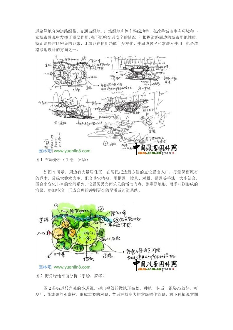 道路绿地分为道路绿带