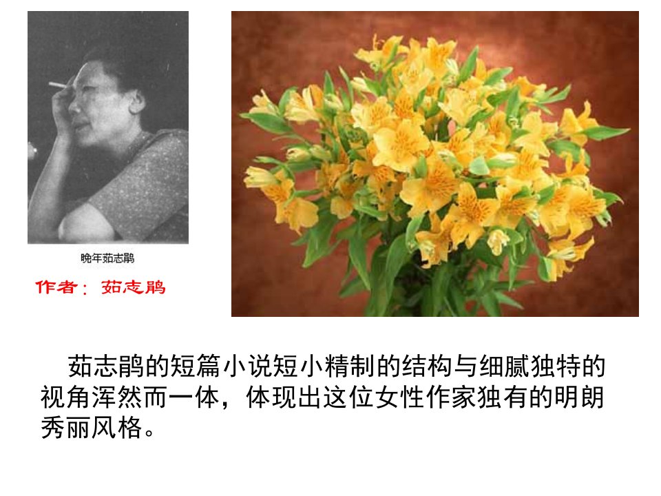 战争.与人性美百合花ppt课件