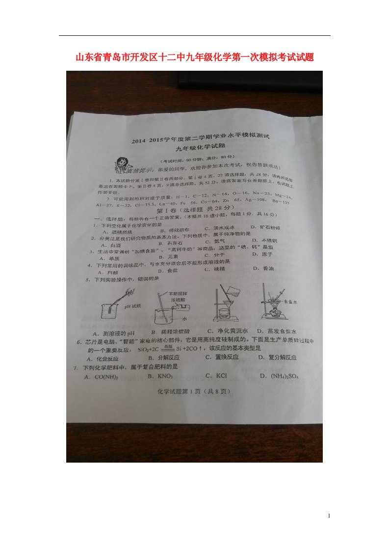 山东省青岛市开发区十二中九级化学第一次模拟考试试题（扫描版）