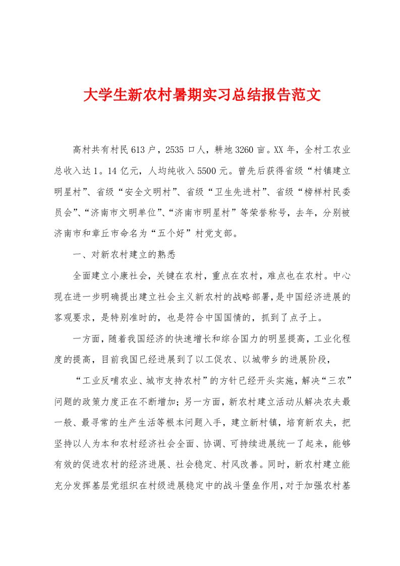 大学生新农村暑期实习总结报告范文