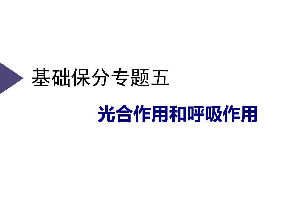 2021年新高考生物ppt课件：基础保分专题五--光合作用和呼吸作用