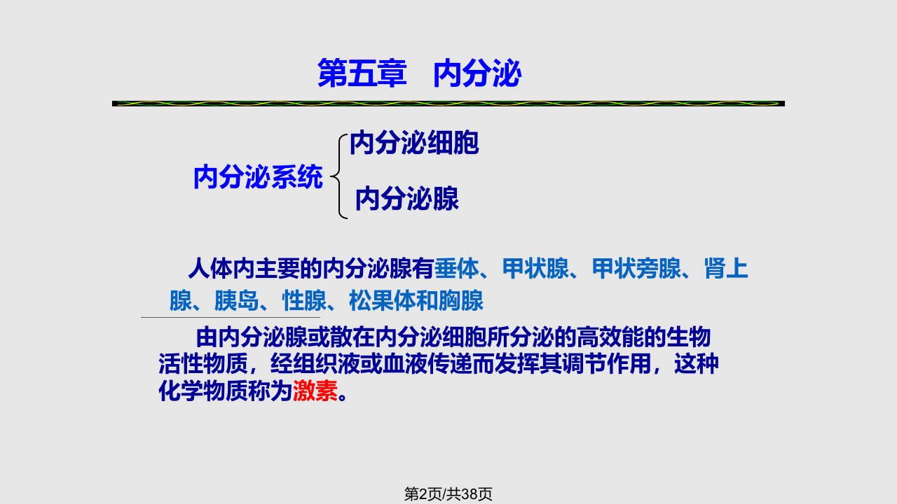 内分泌2学习教程