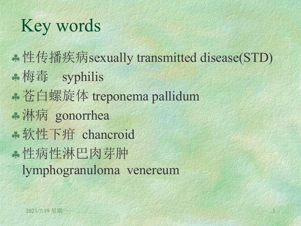 医学专题梅毒淋病详解