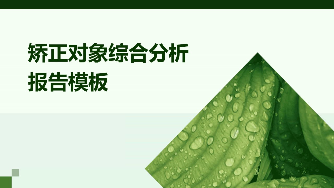 矫正对象综合分析报告模板