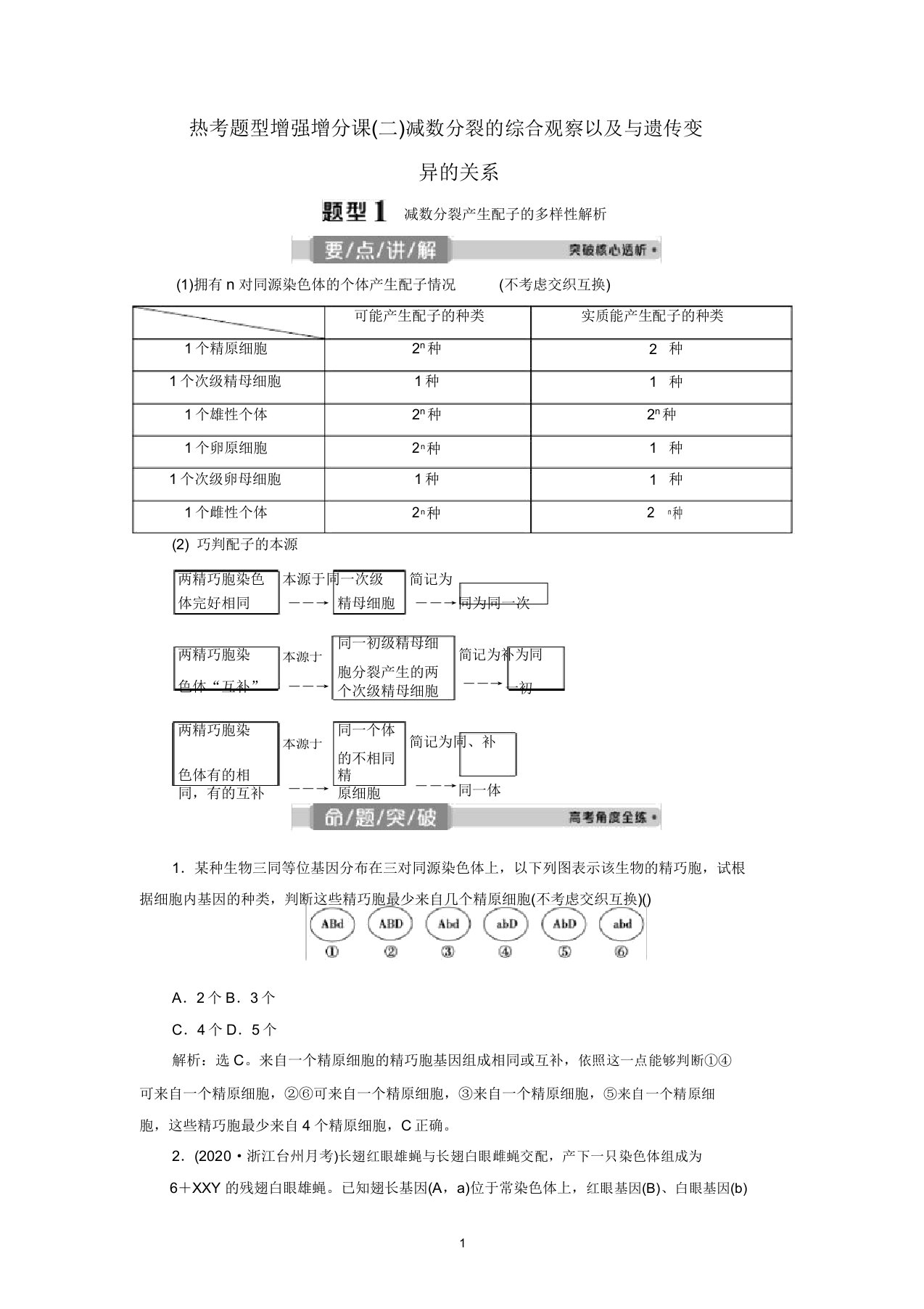 生物一轮复习减数分裂的综合考查以及与遗传变异的关系教学案新人教版