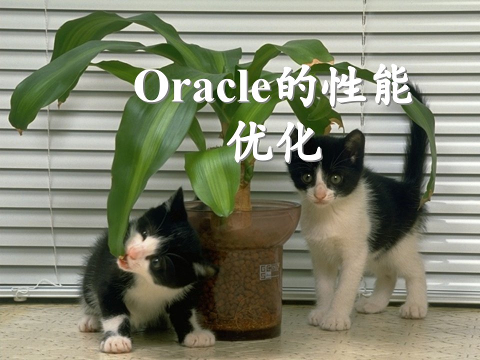 《Oracle的性能优化》PPT课件