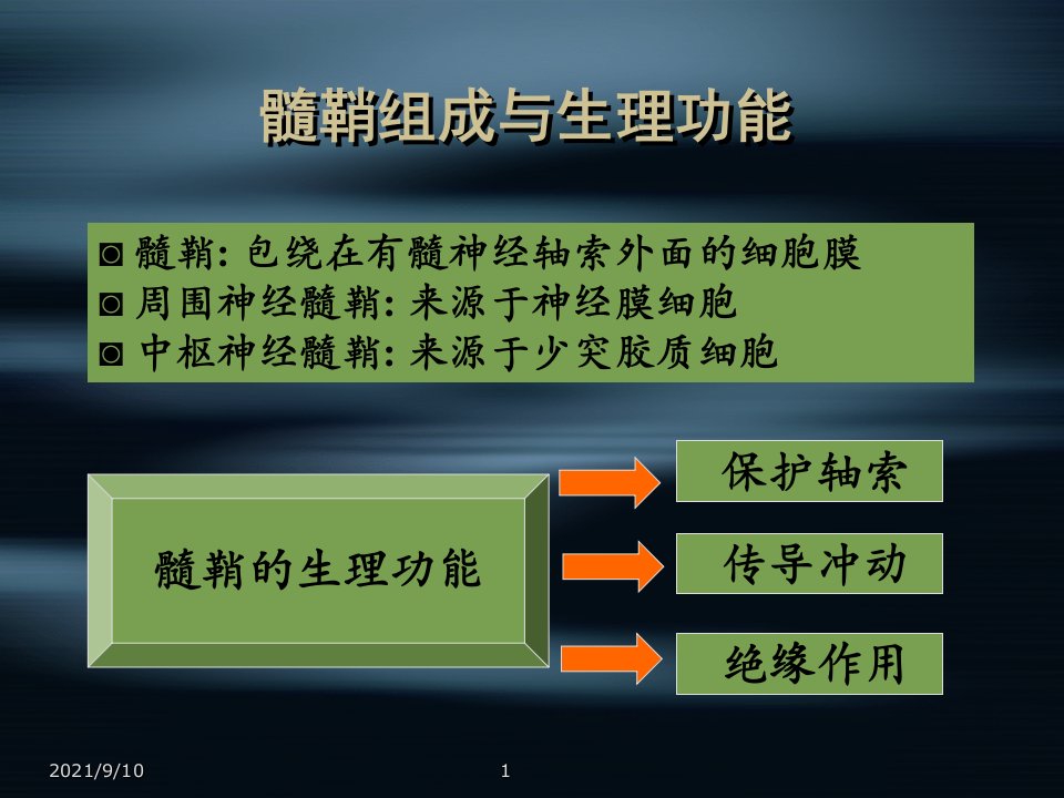 脱髓鞘疾病与多发性硬化讲义