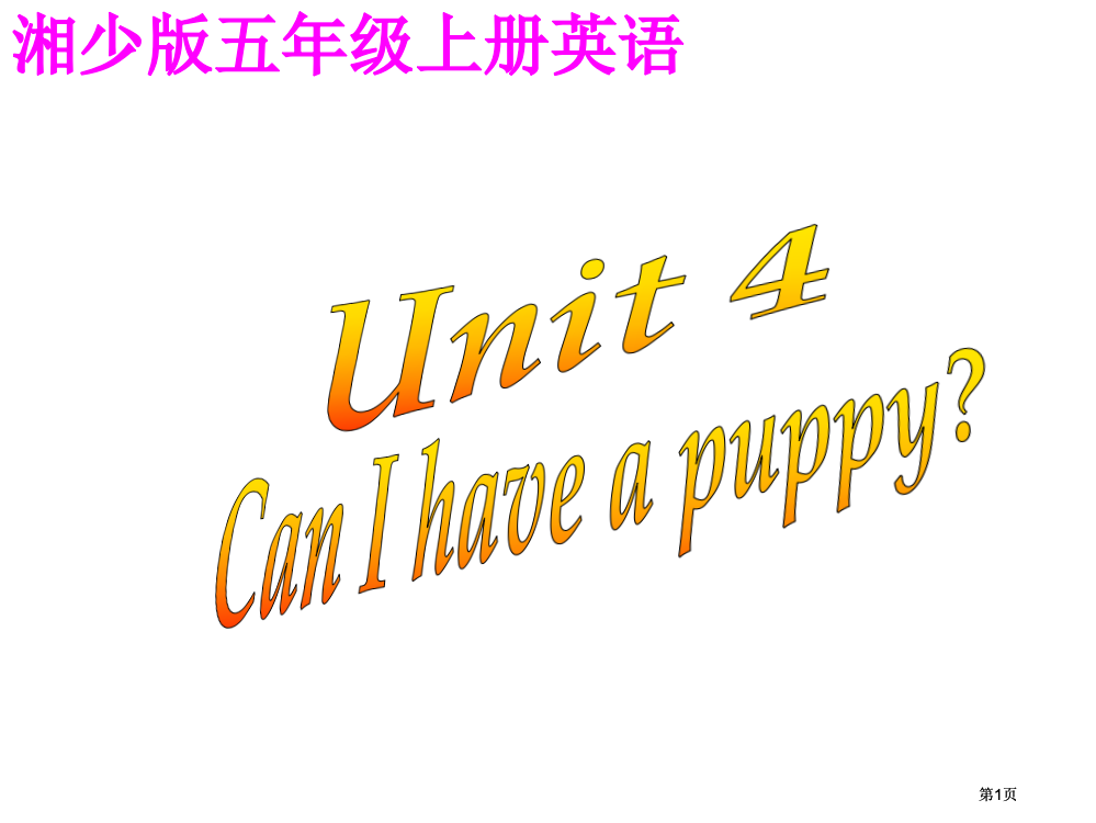 湘少版五上Unit4CanIhaveapuppy课件市公开课金奖市赛课一等奖课件