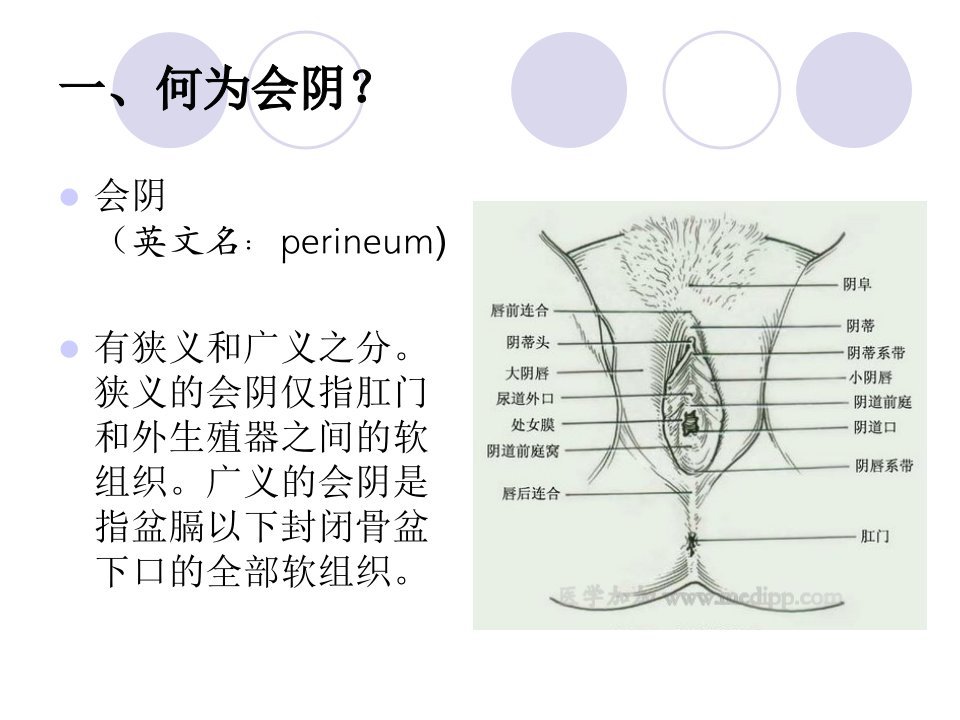 会阴部护理ppt课件