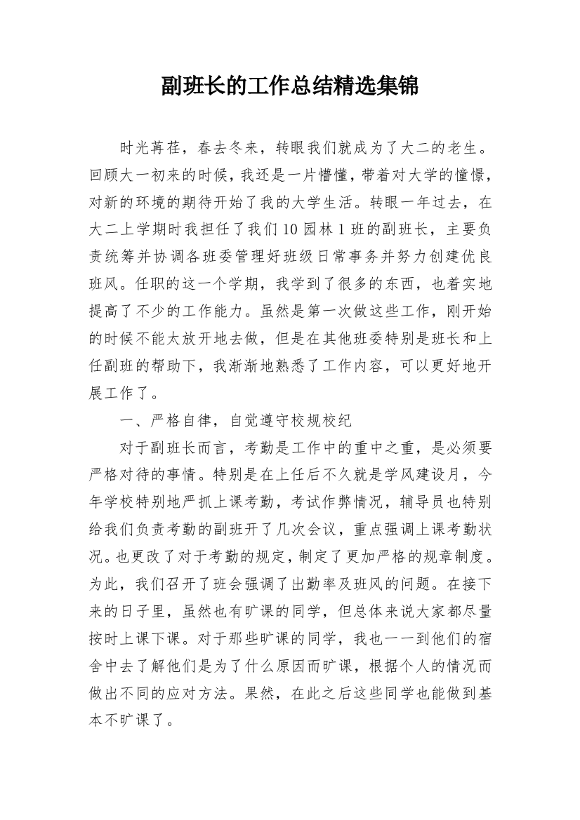 副班长的工作总结精选集锦