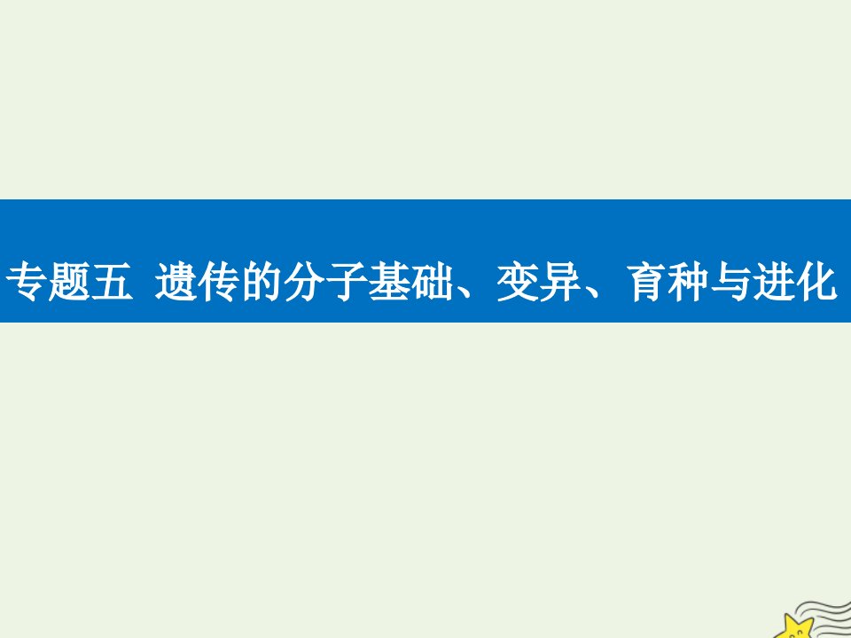 高考生物二轮复习专题五遗传的分子基础变异育种与进化考点一遗传的分子基次件