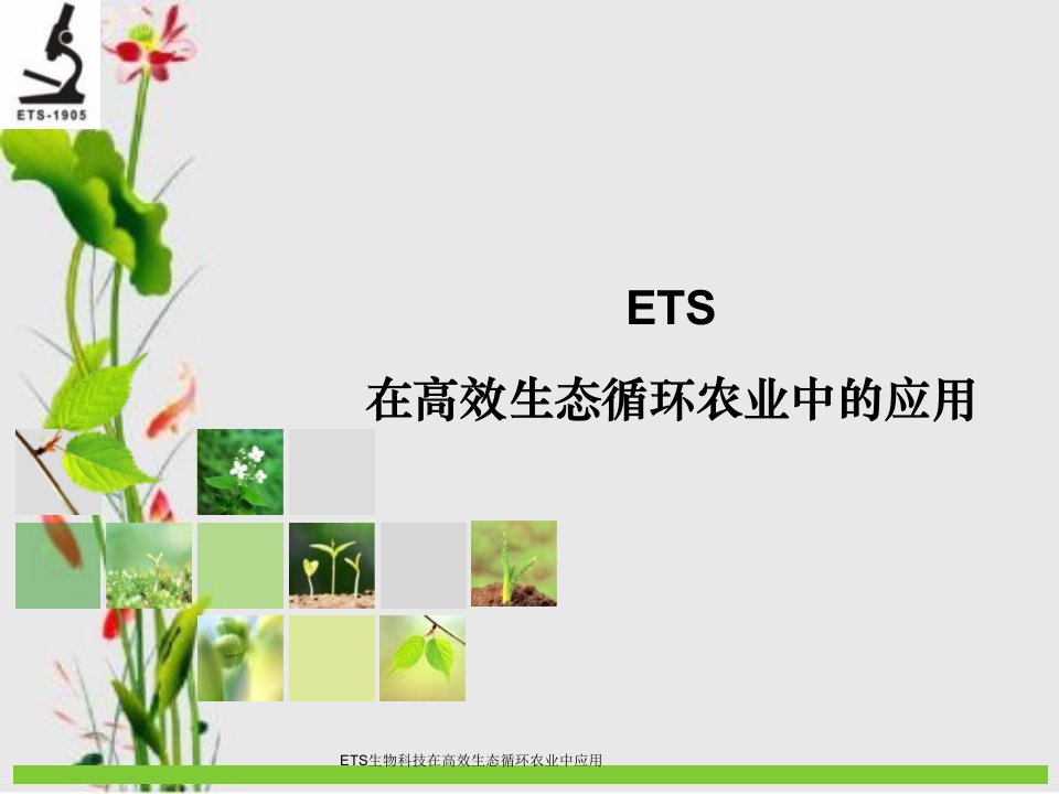 ETS生物科技在高效生态循环农业中应用