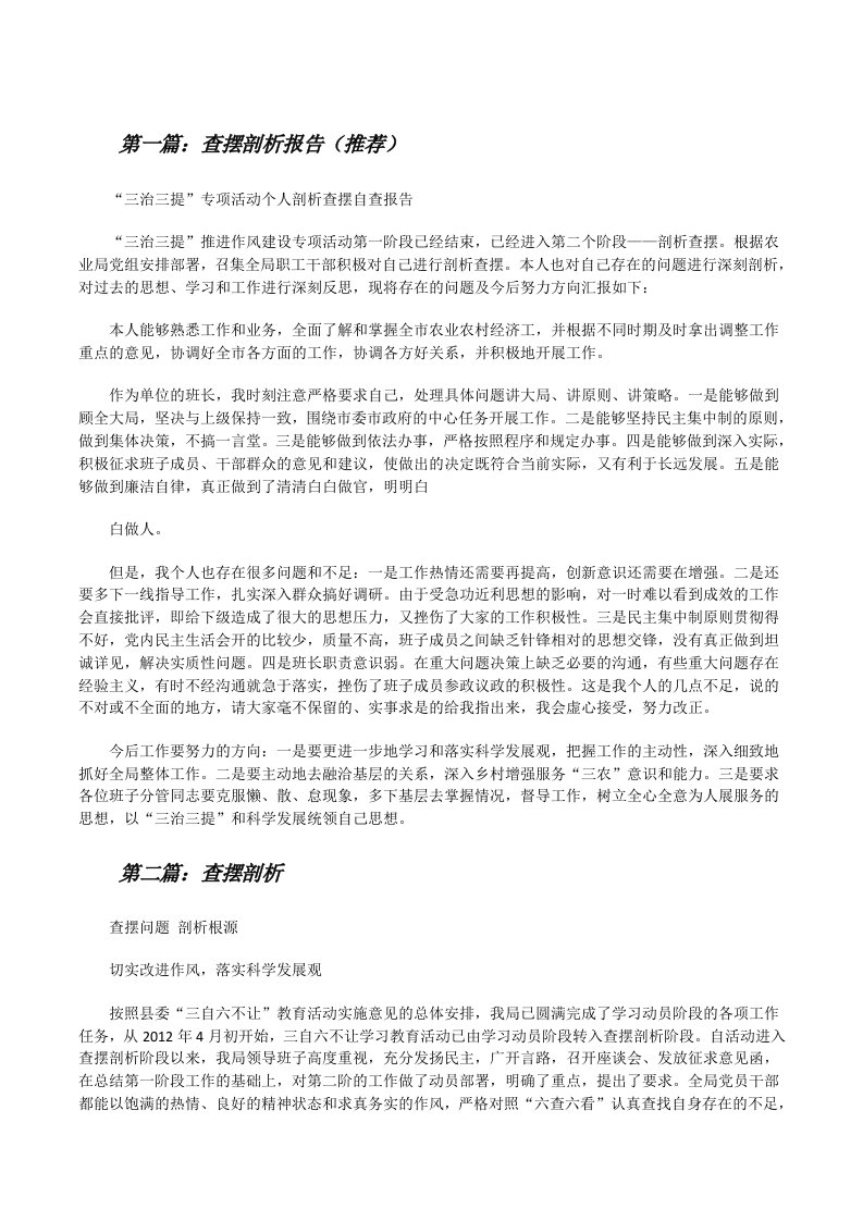 查摆剖析报告（推荐）[修改版]