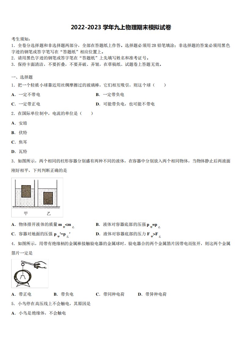 2023学年物理九年级第一学期期末考试试题含解析