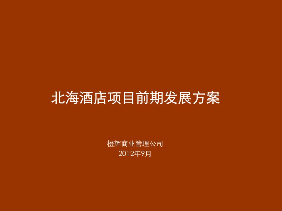 2018北海海景主题酒店项目前期发展方案142p研究报告