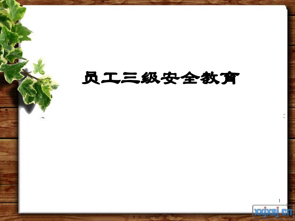 新员工安全培训(新版)PPT