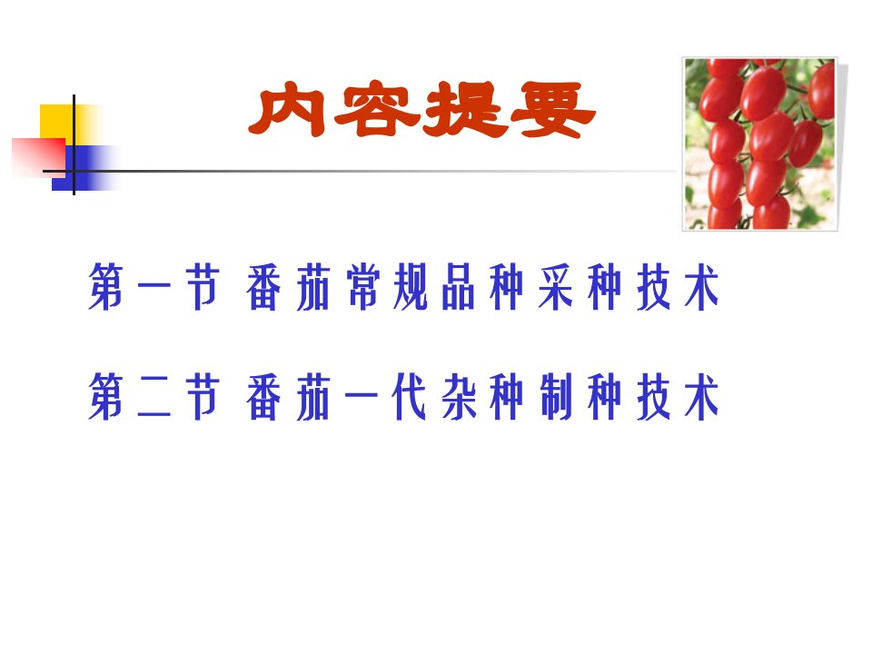 精选国培番茄种子生产技术PPT103页