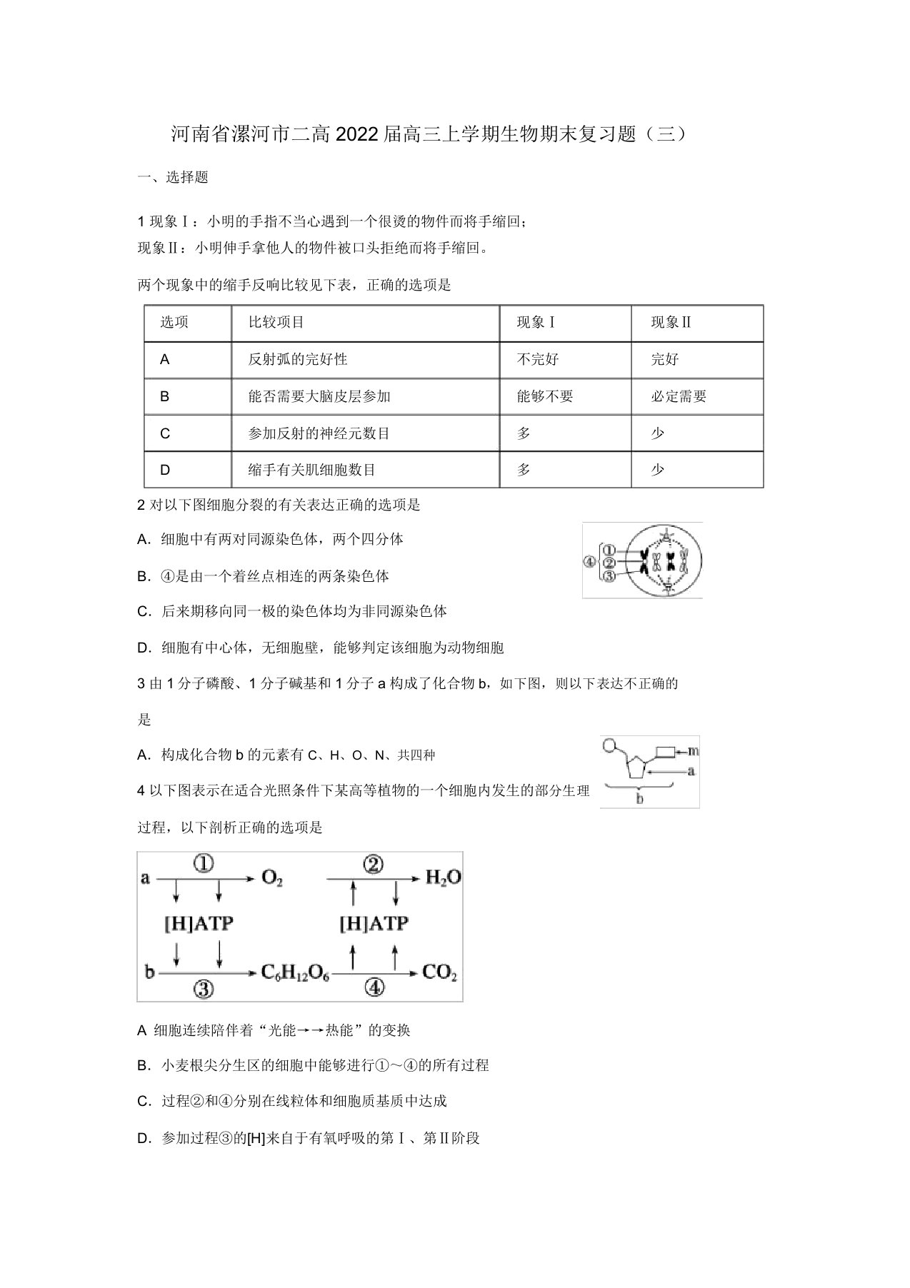 河南省漯河市二高2022届高三生物上学期期末复习题(三)