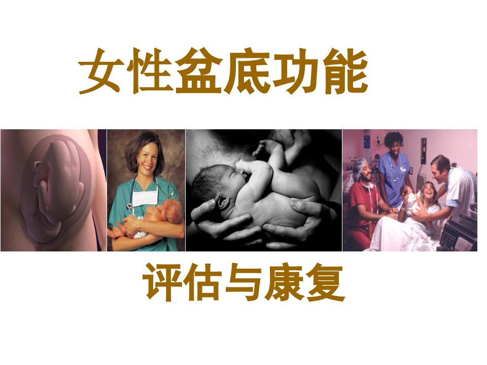 女性盆底功能评估与康复ppt课件