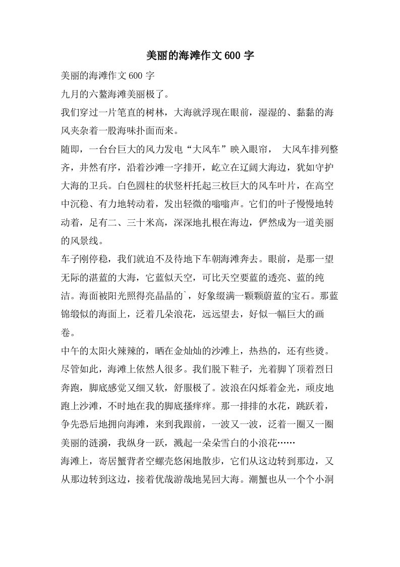 美丽的海滩作文600字