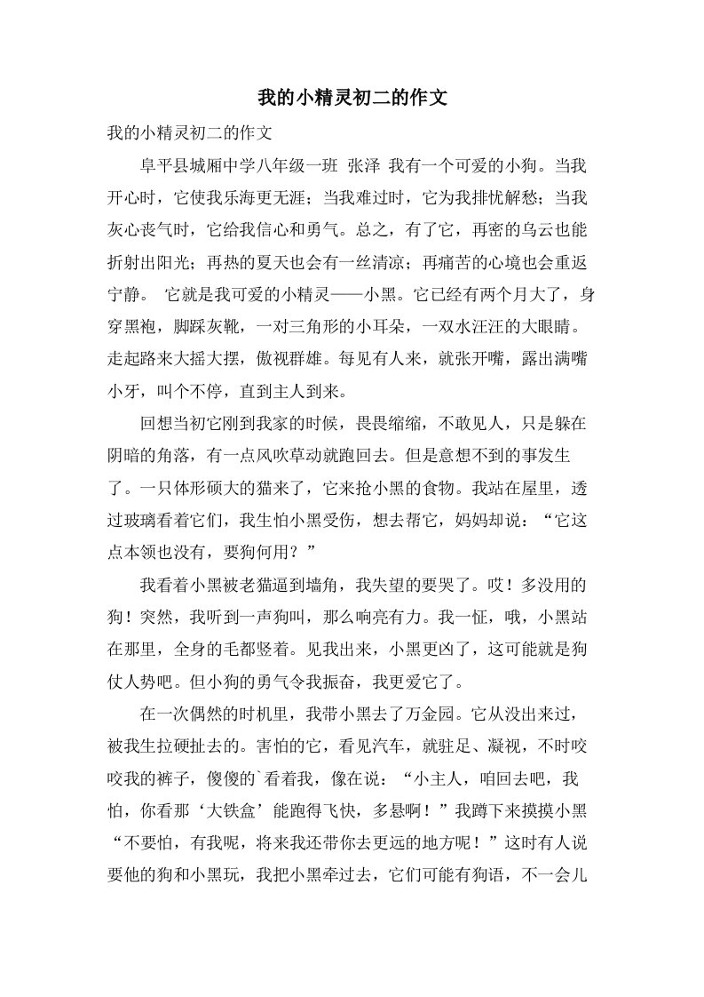 我的小精灵初二的作文