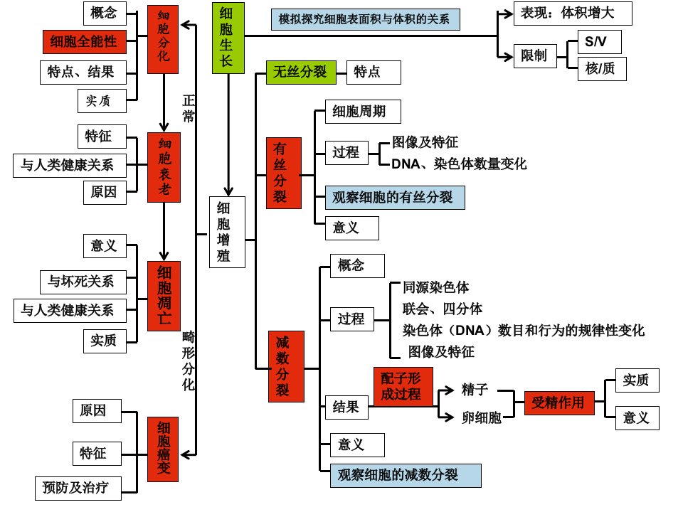 高中生物会考第六讲细胞的生命周期