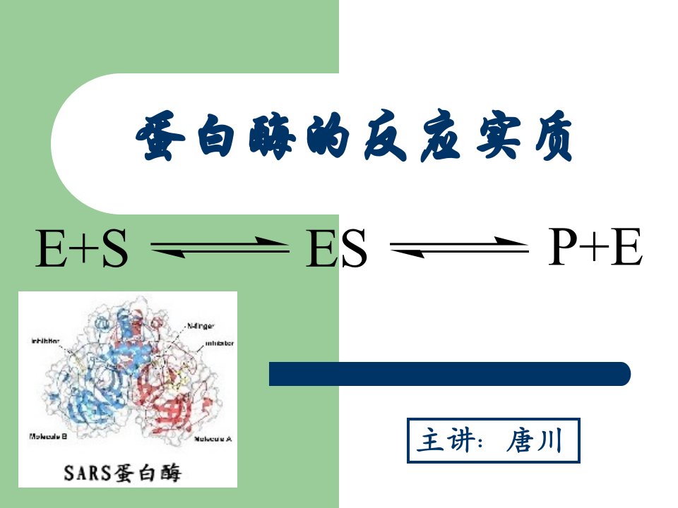 蛋白酶的反应实质