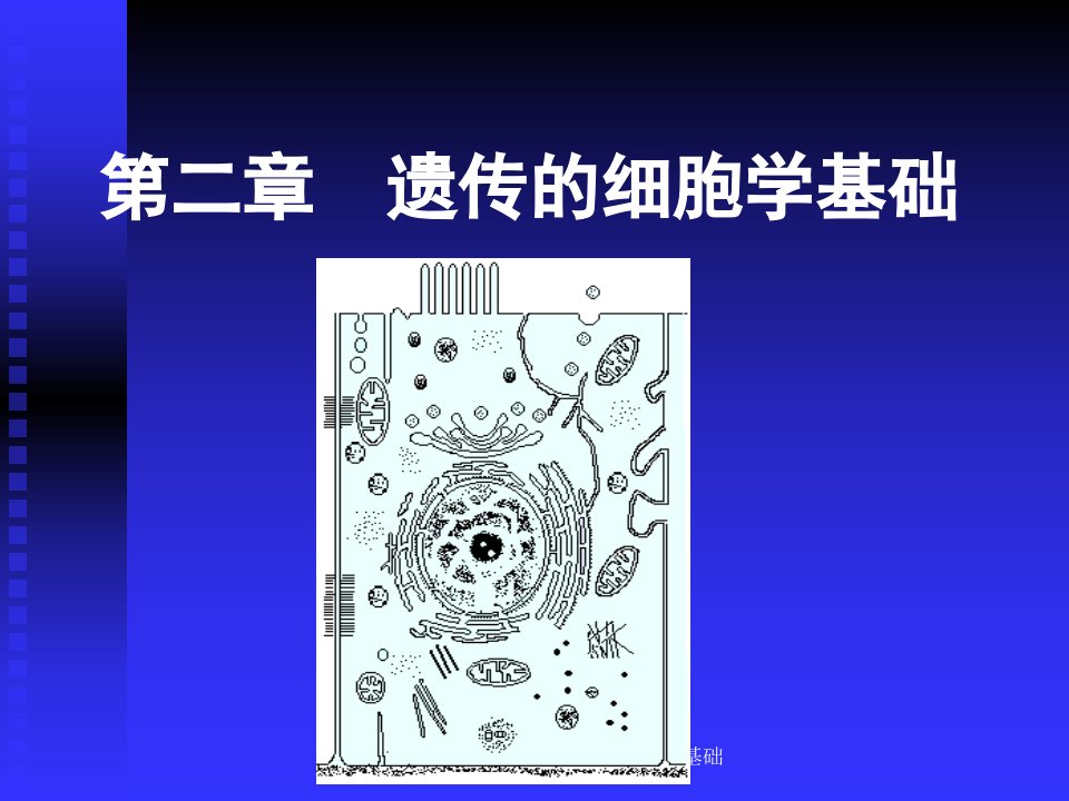 医学遗传学遗传的细胞学基础课件