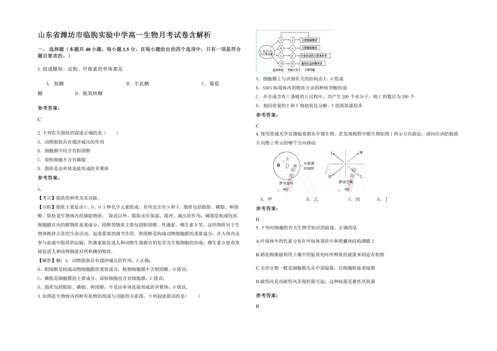 山东省潍坊市临朐实验中学高一生物月考试卷含解析