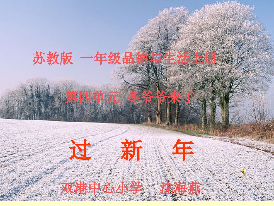 苏教版过新年课件