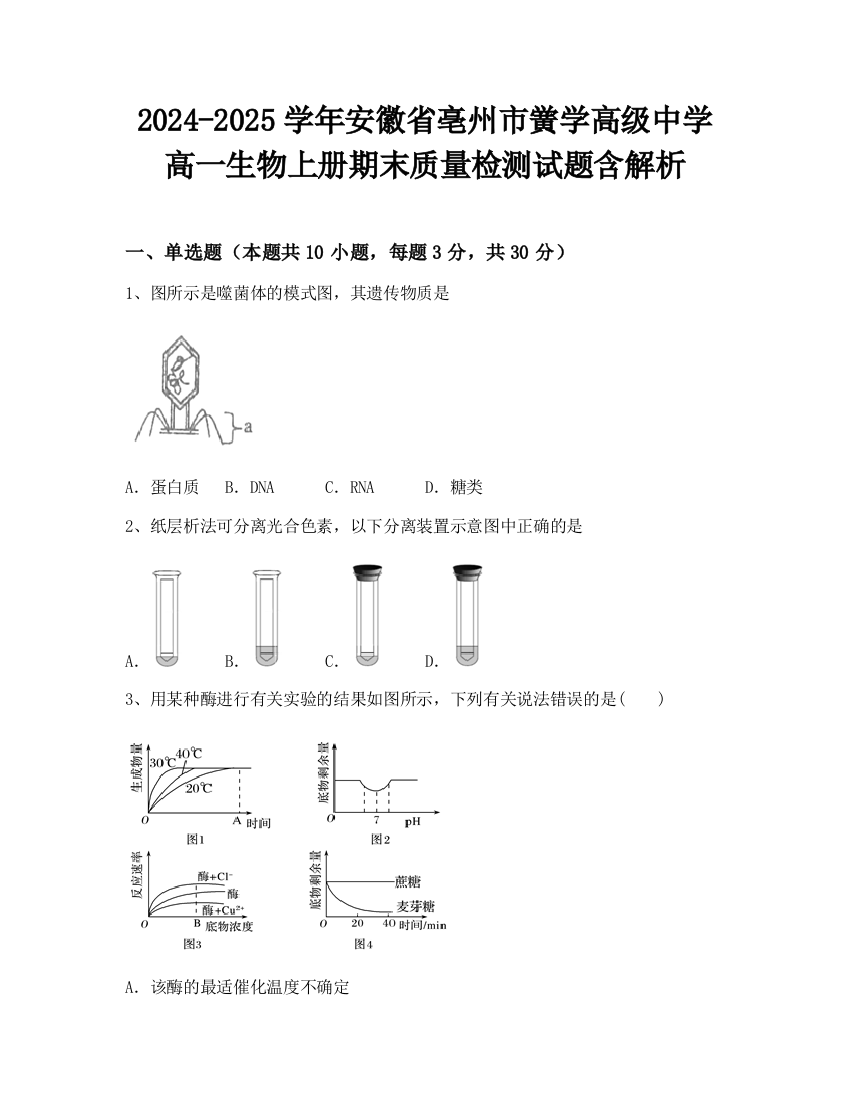 2024-2025学年安徽省亳州市黉学高级中学高一生物上册期末质量检测试题含解析