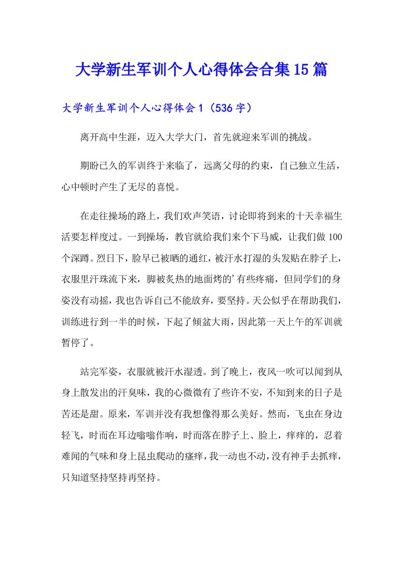 大学新生军训个人心得体会合集15篇