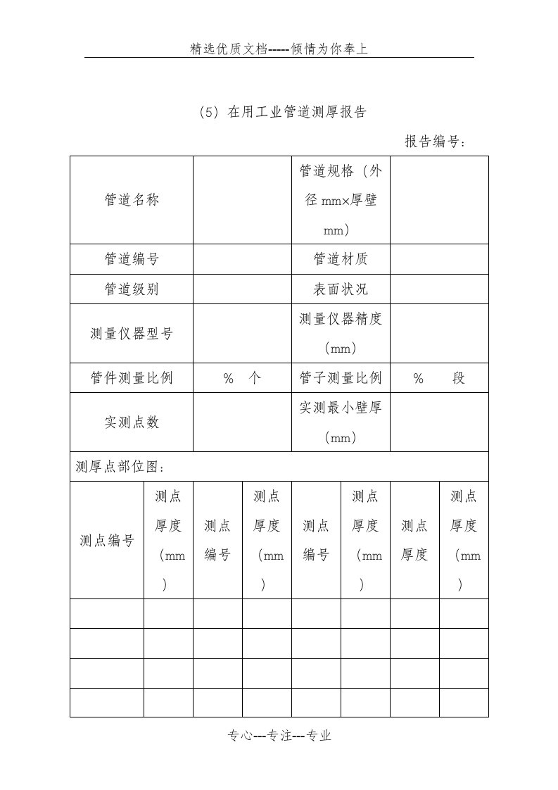 在用工业管道测厚报告(共19页)