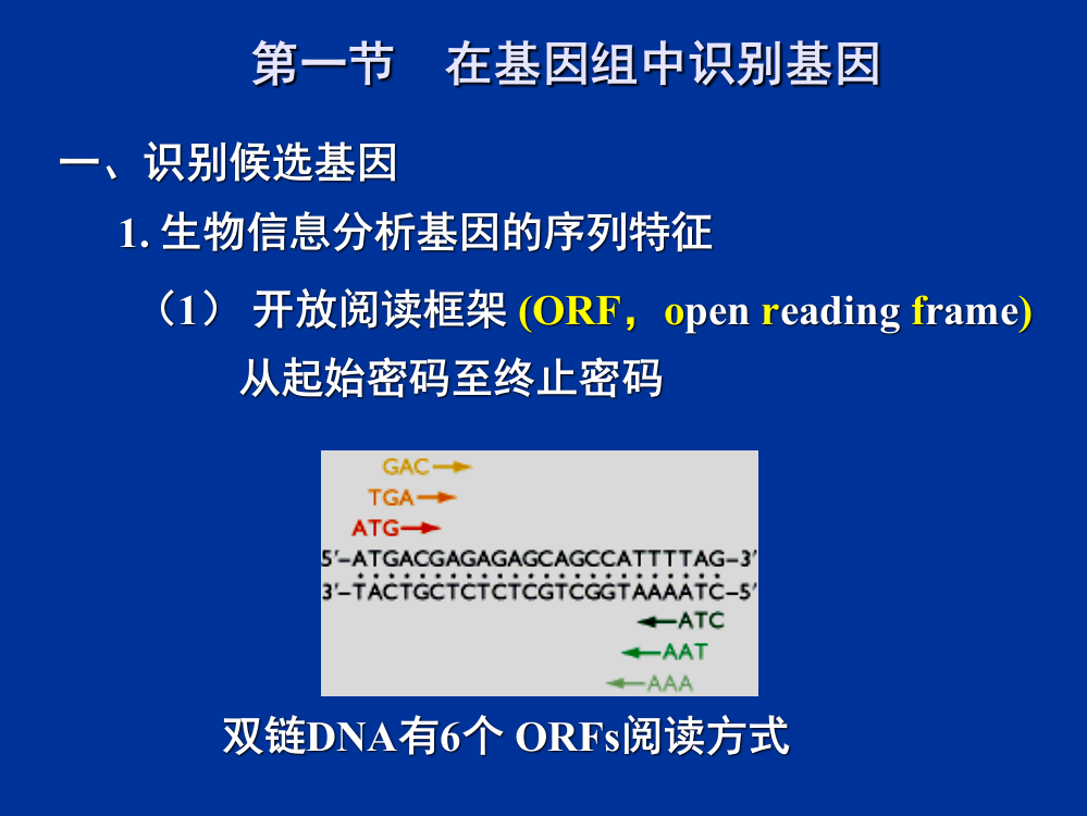 基因组序列的功能解析