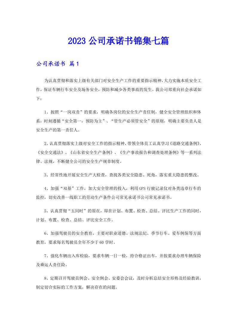 2023公司承诺书锦集七篇