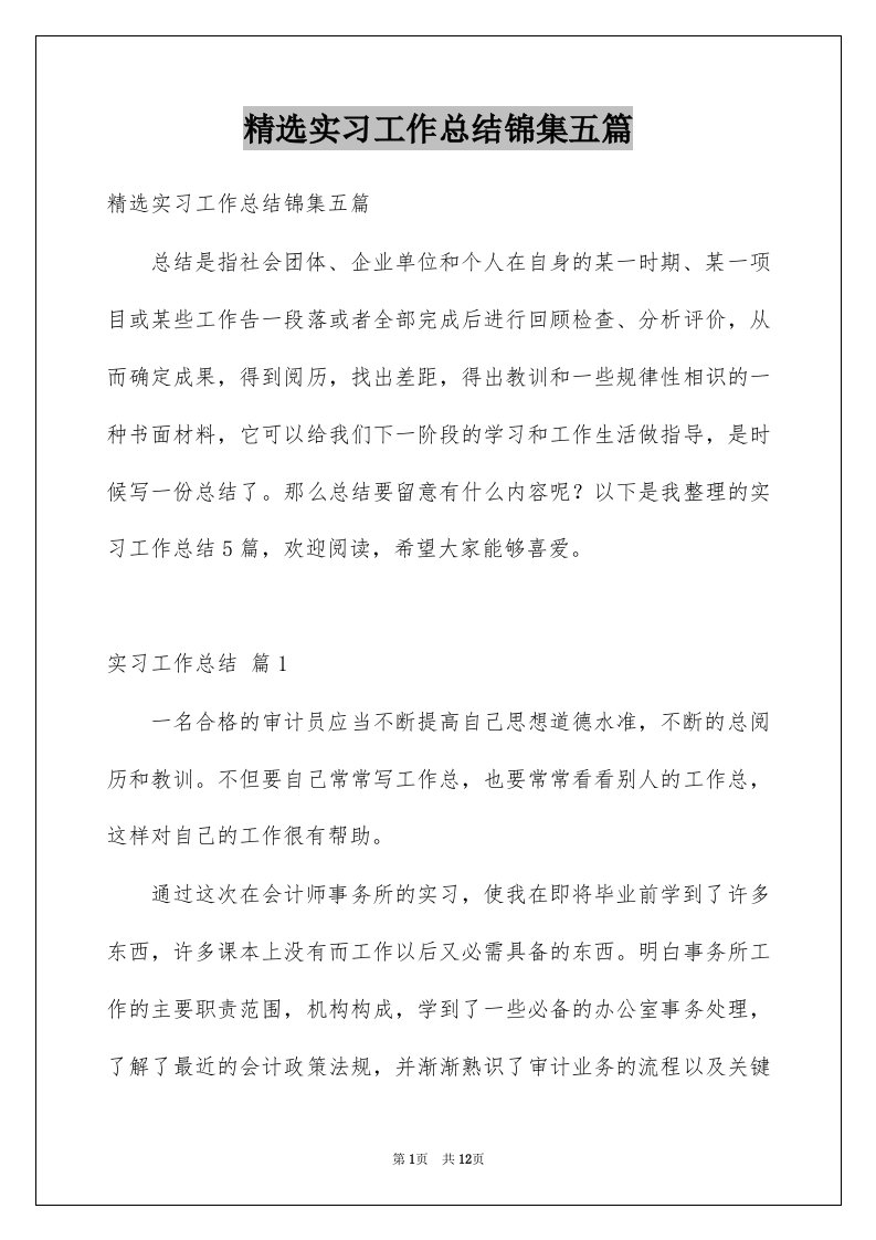 实习工作总结锦集五篇例文