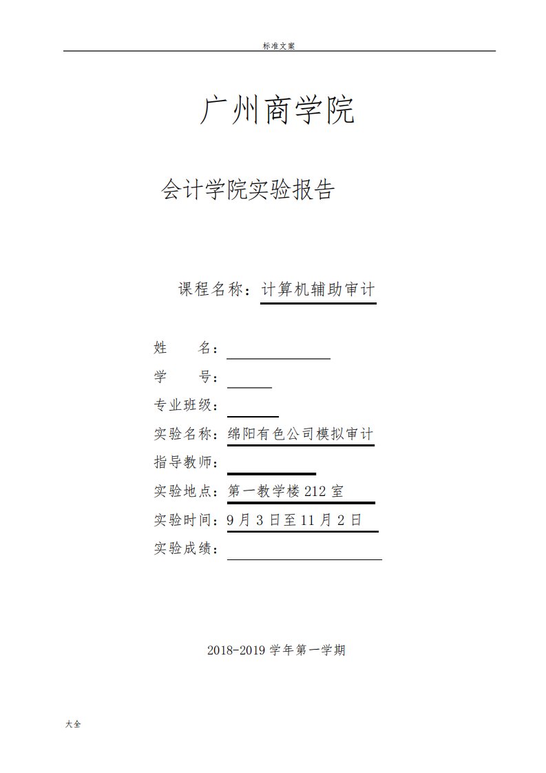 《计算机辅助审计》实验报告材料1