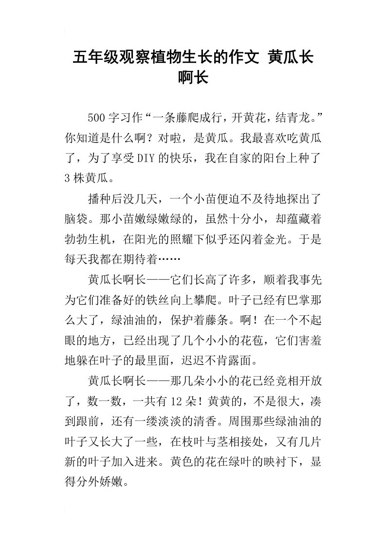 五年级观察植物生长的作文黄瓜长啊长