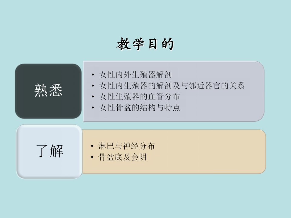 妇产科学女性生殖系统解剖PPT课件