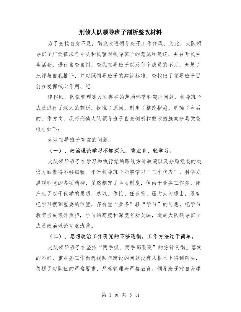 刑侦大队领导班子剖析整改材料