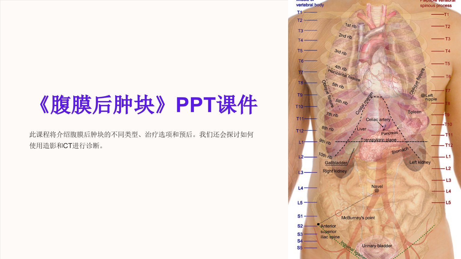 《腹膜后肿块》课件