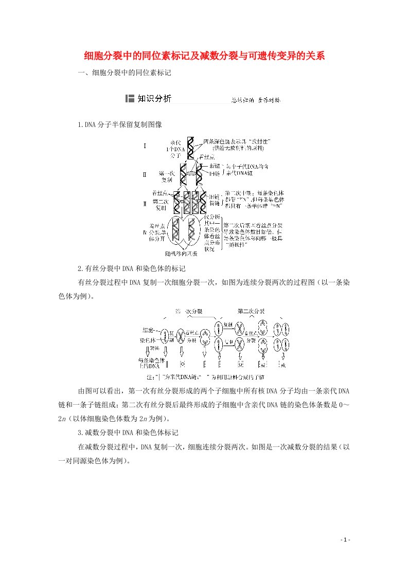 2022届新教材高考生物一轮复习知识能力提升4细胞分裂中的同位素标记及减数分裂与可遗传变异的关系含解析