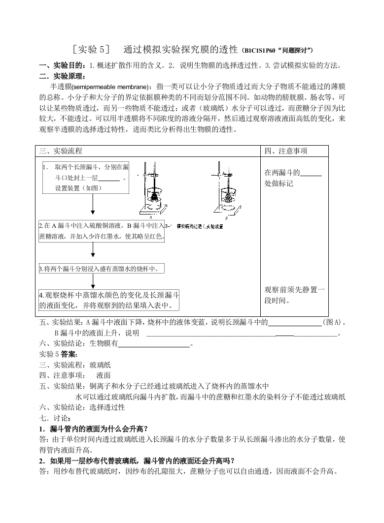 〖实验5〗通过模拟实验探究膜的透性