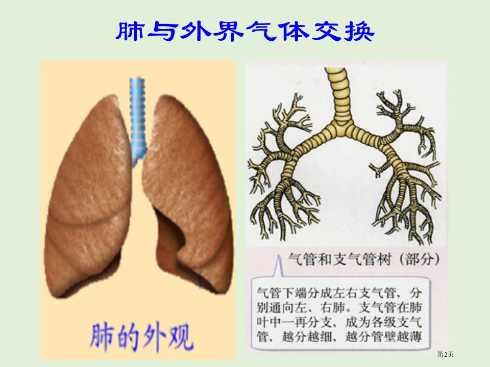 第二节发生在肺内的气体交换市公开课一等奖省优质课获奖课件