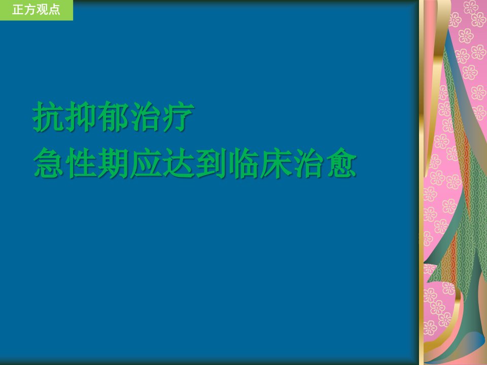 抗抑郁急性期治疗目标正方ppt课件