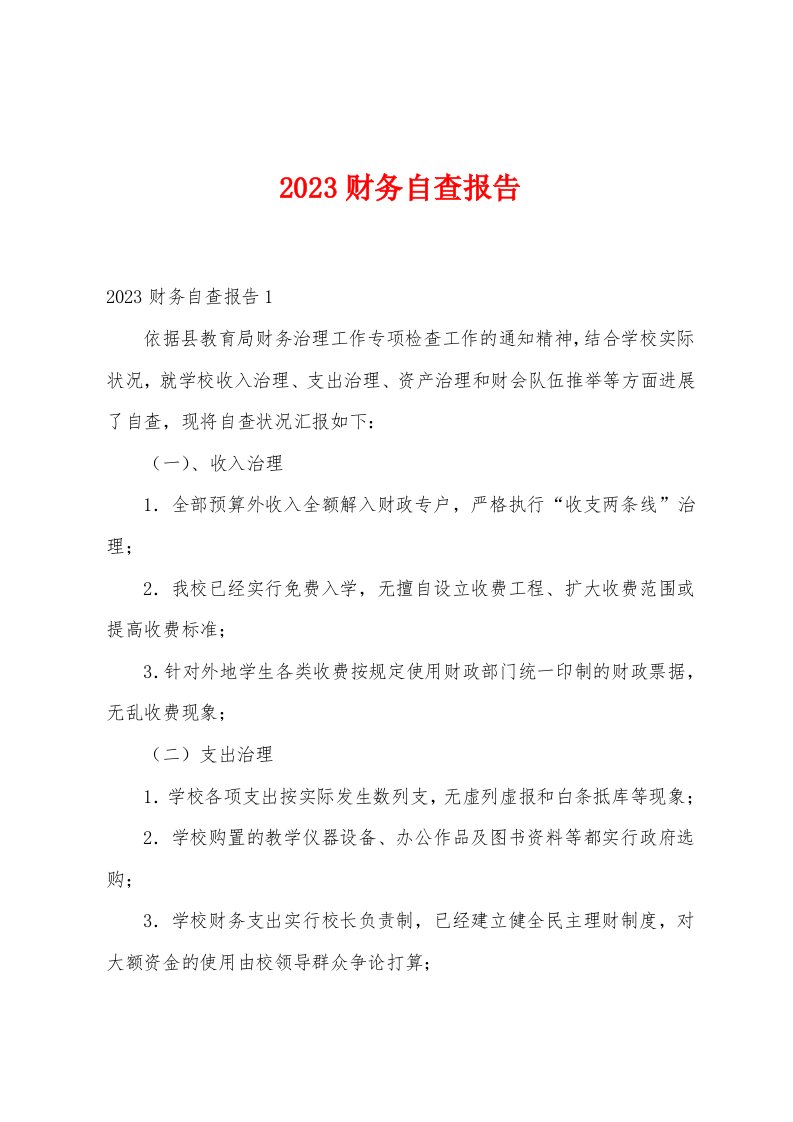 2023年财务自查报告