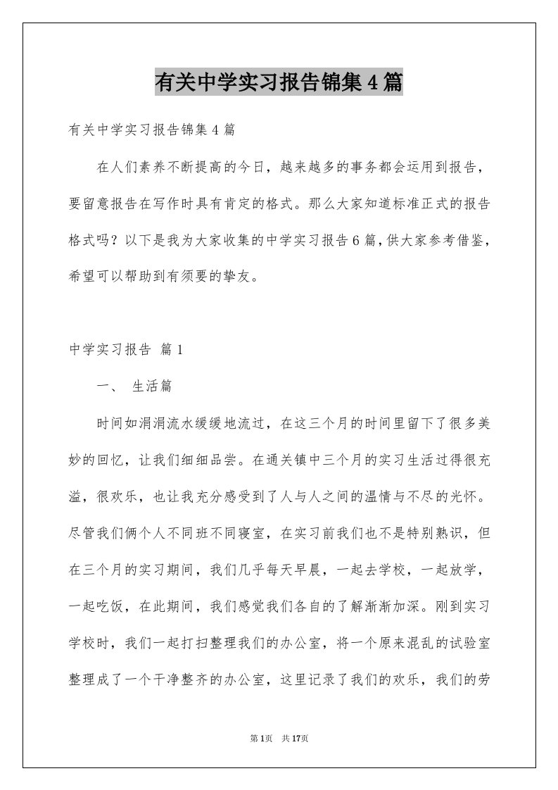 有关中学实习报告锦集4篇